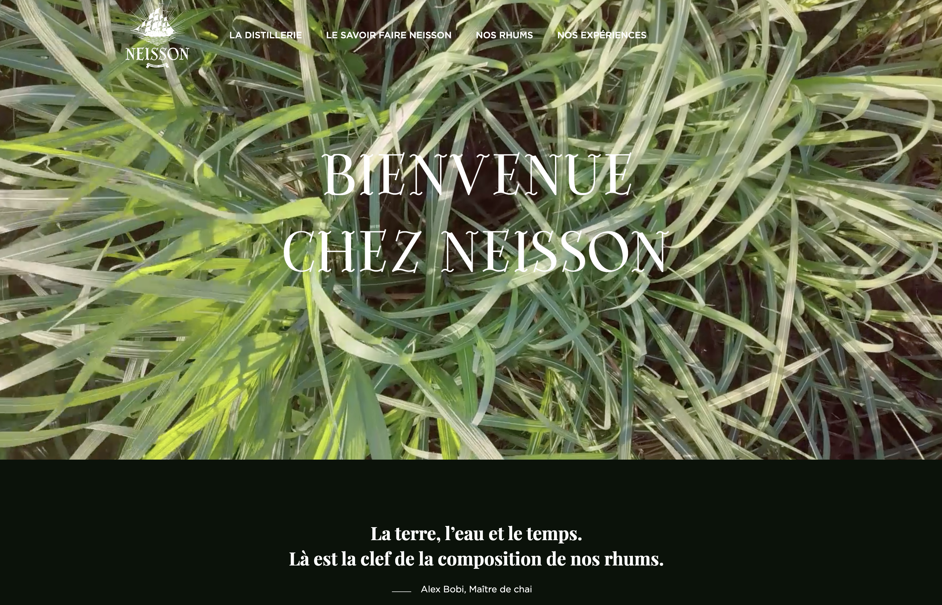 Logo design for the brand Redo on green gradient background